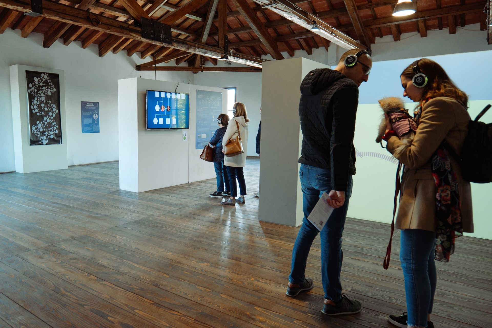 Exhibition picture