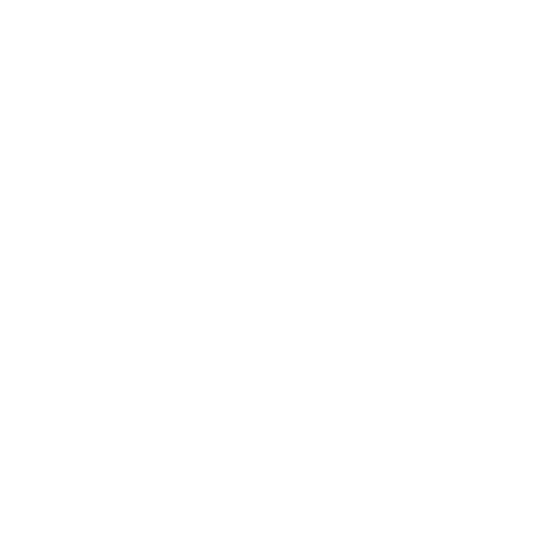 Zanin1895