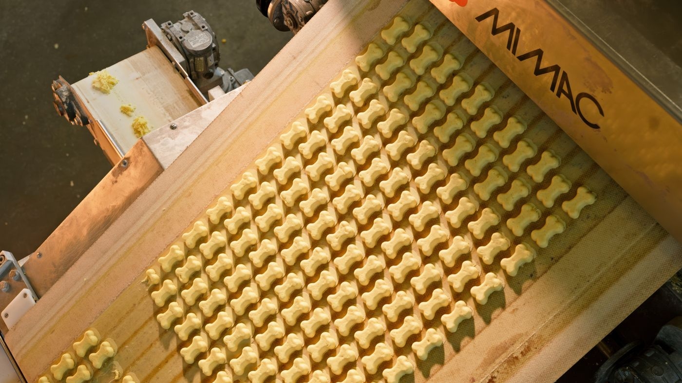 Mast Pet Biscuits_01